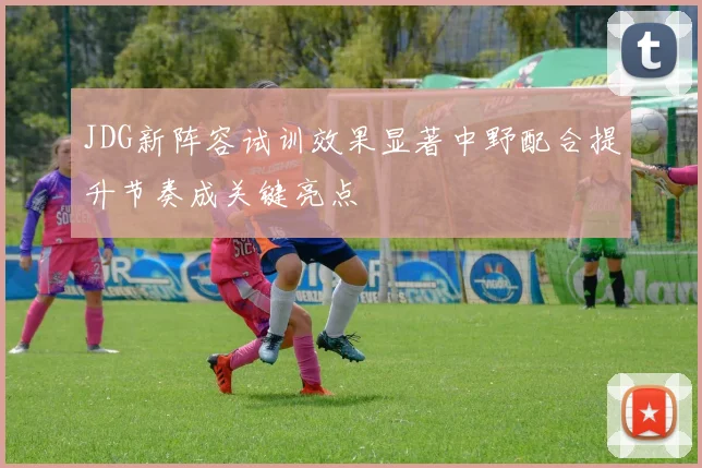 JDG新阵容试训效果显著中野配合提升节奏成关键亮点